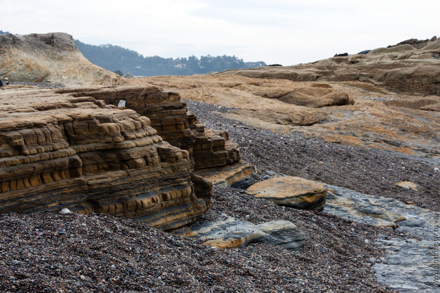 pt.Lobos