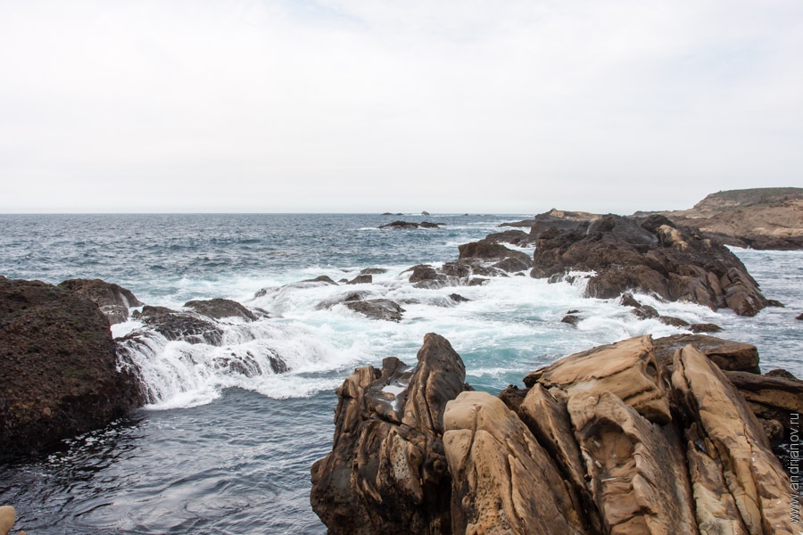 pt.Lobos