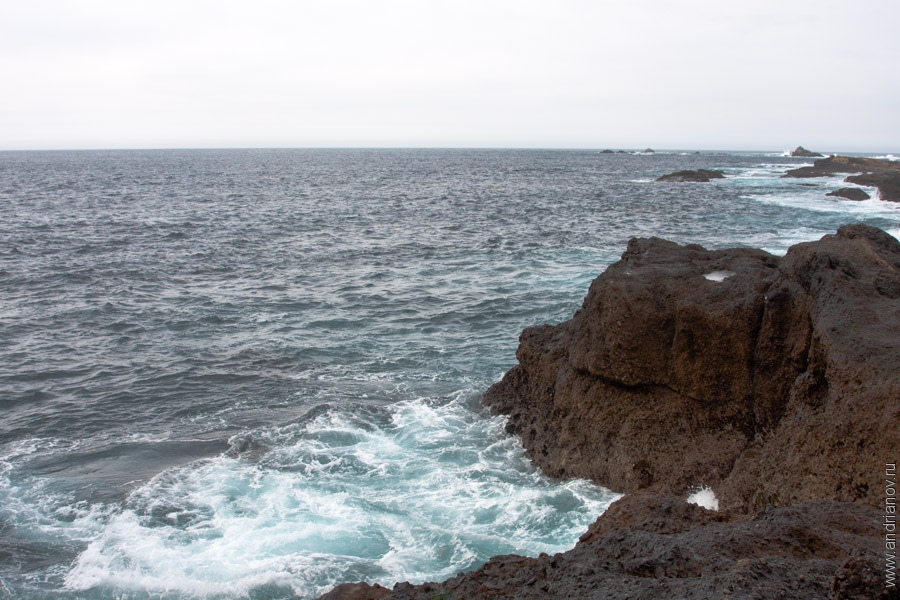 pt.Lobos