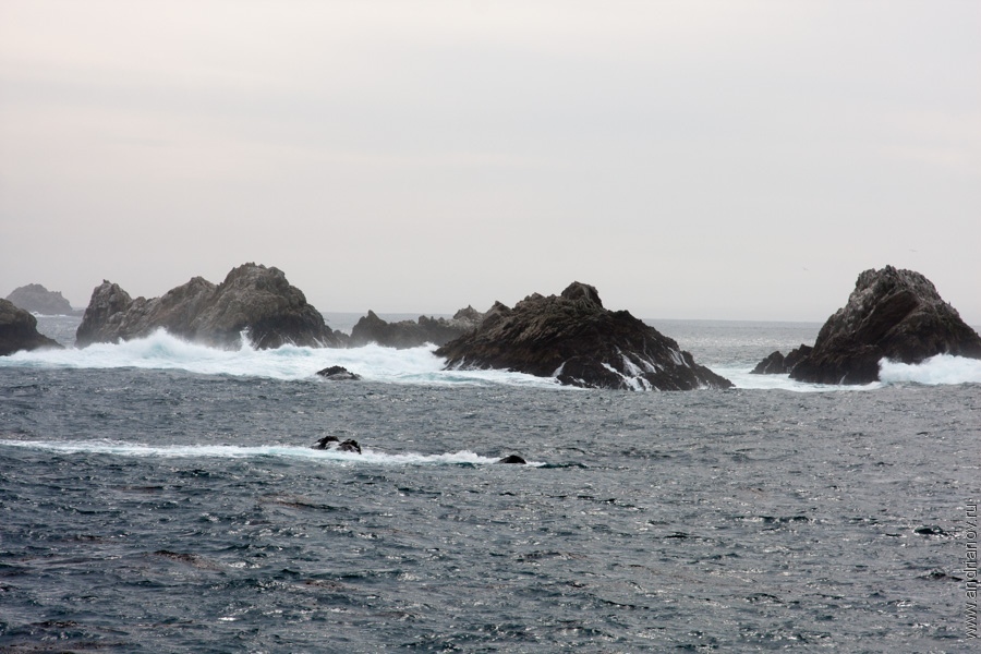 pt.Lobos