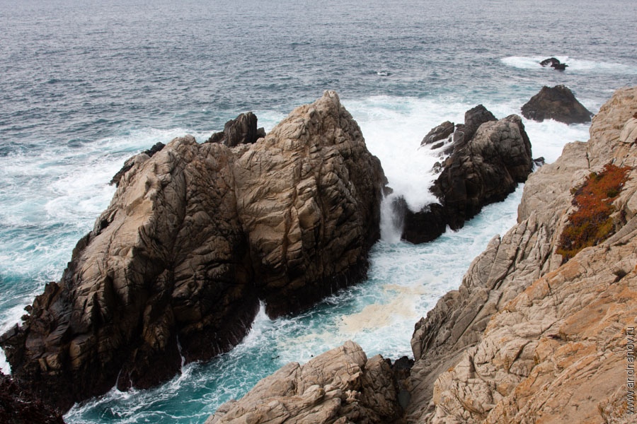 pt.Lobos