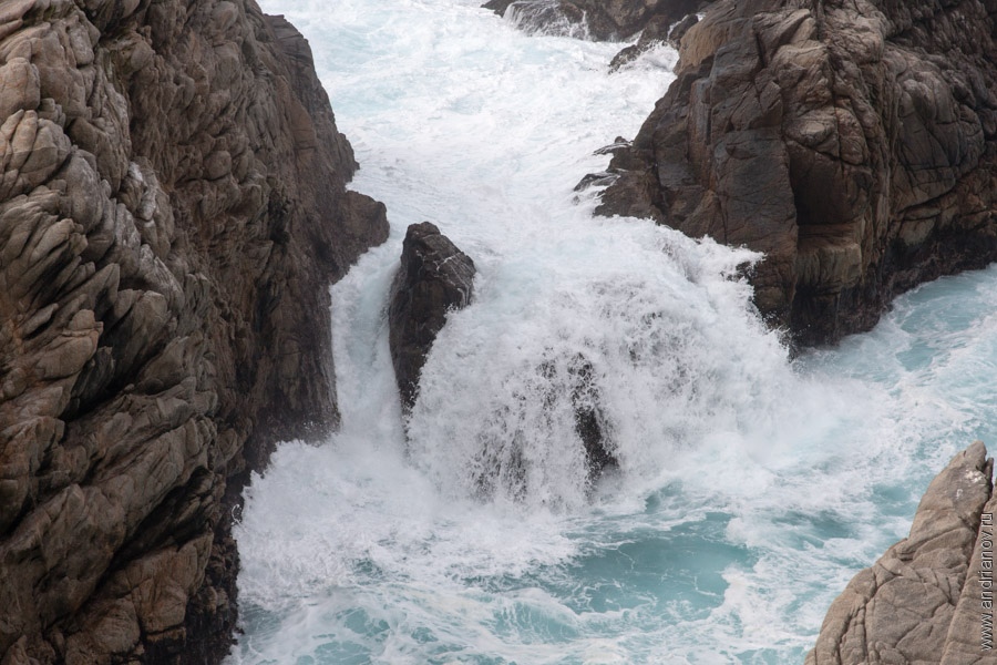 pt.Lobos