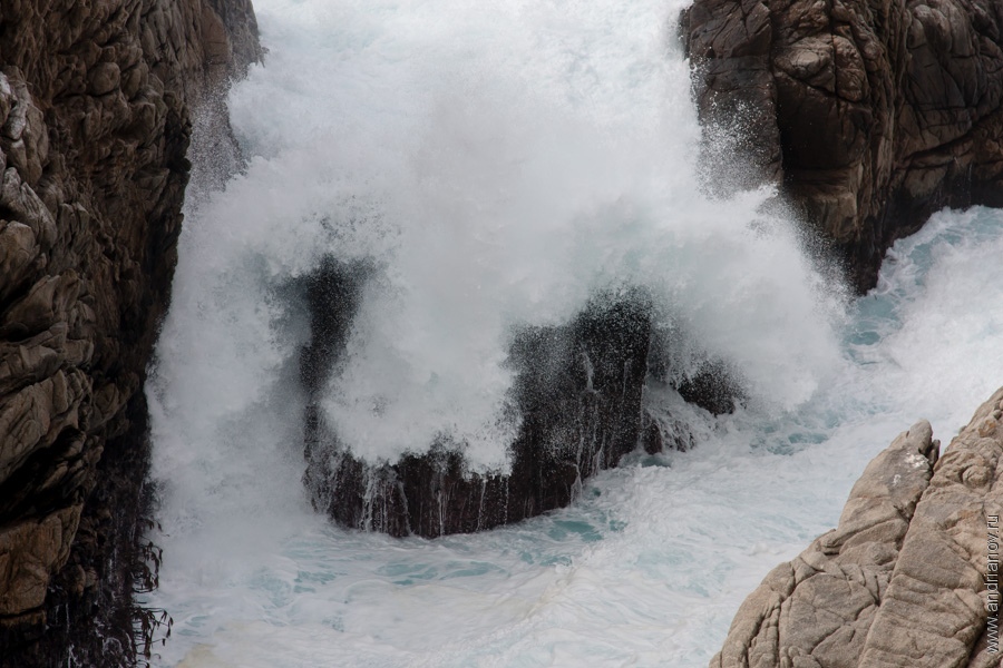 pt.Lobos