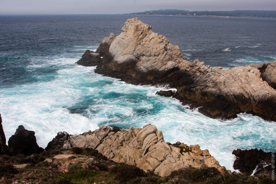 pt.Lobos