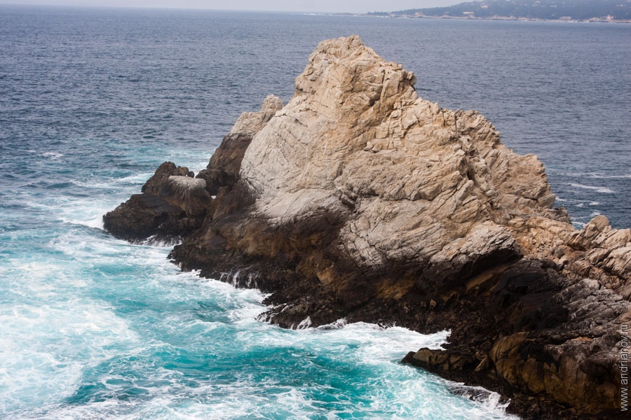 pt.Lobos