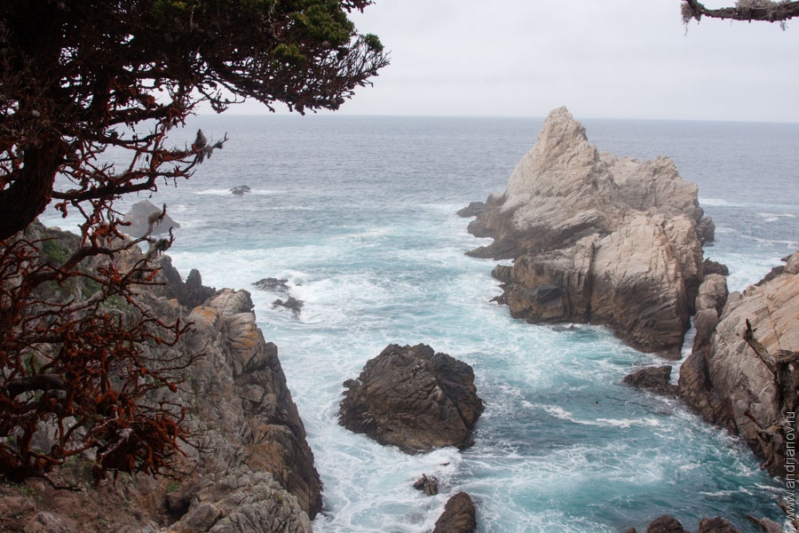 pt.Lobos