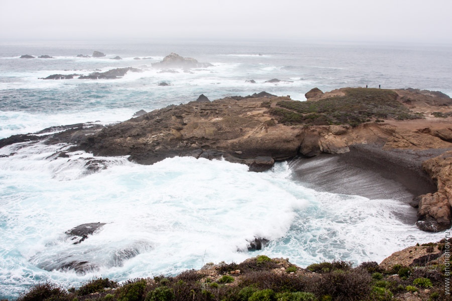 pt.Lobos