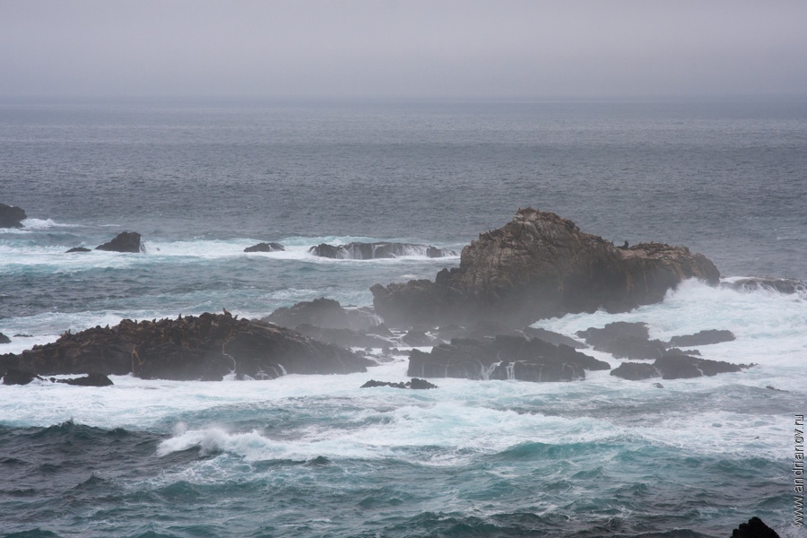 pt.Lobos