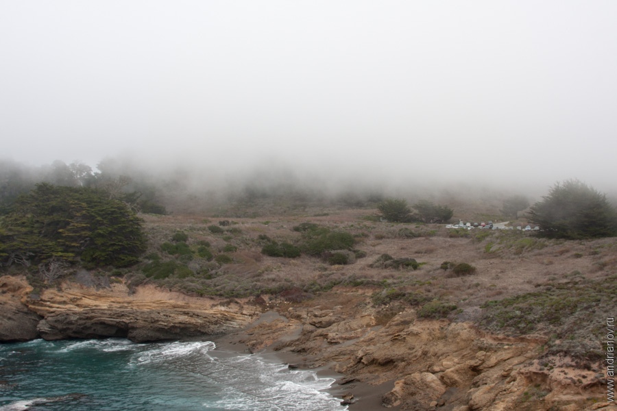 pt.Lobos