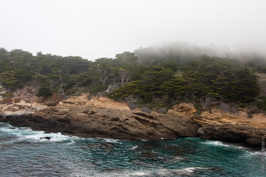 pt.Lobos