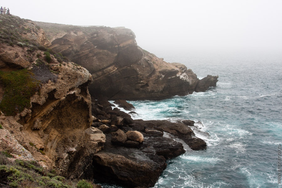 pt.Lobos