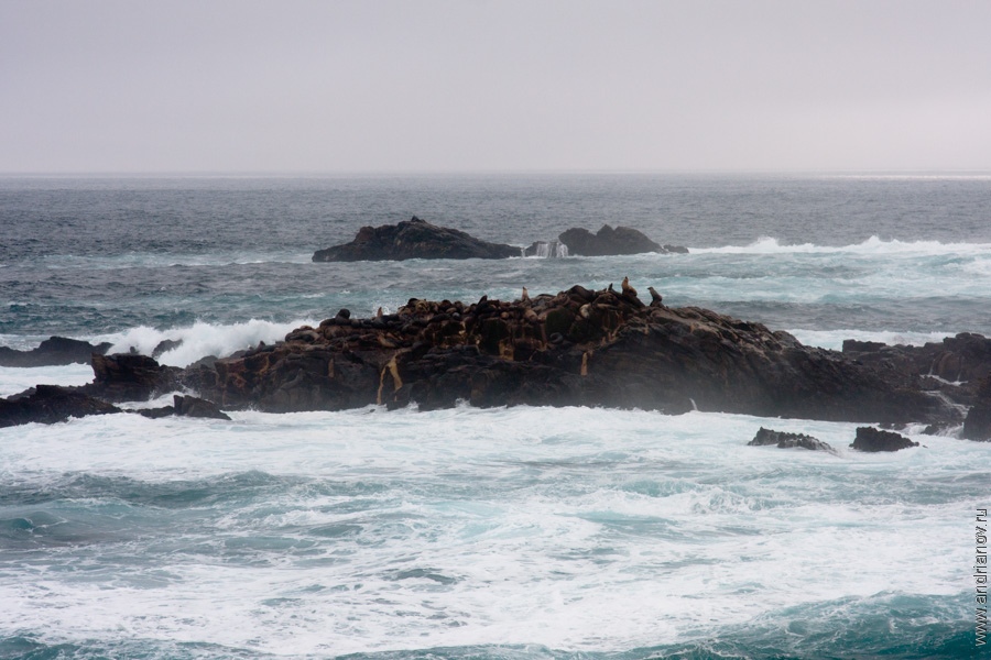 pt.Lobos