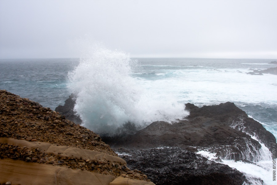 pt.Lobos