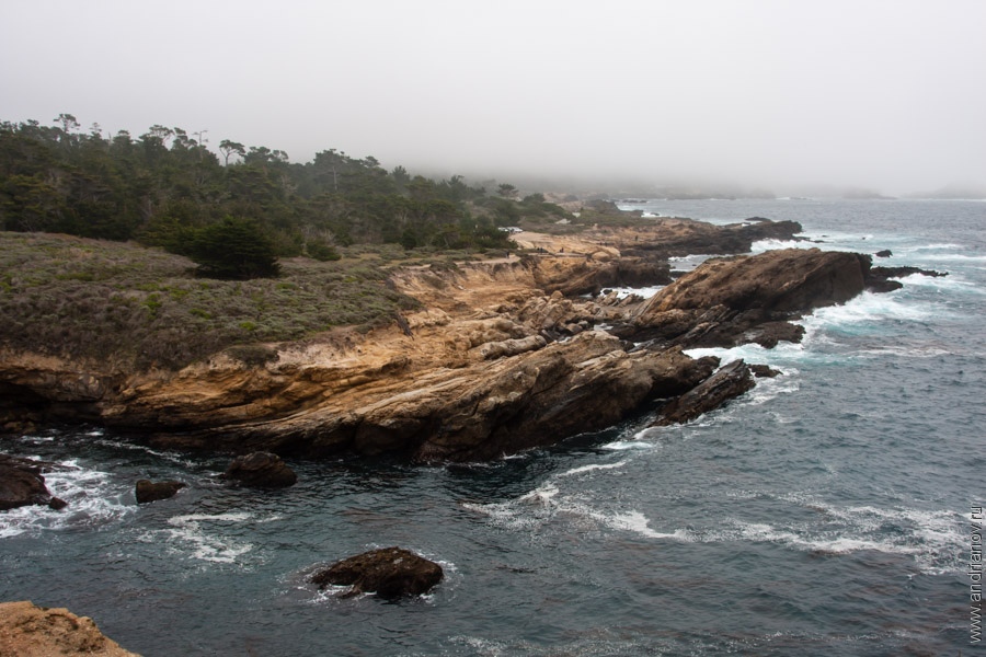 pt.Lobos