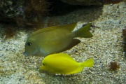 image img_1467wb-jpg