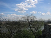 image std_0774-jpg