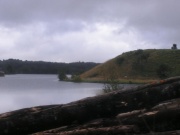 image p8212488-jpg