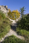 image img_8417wb-jpg