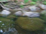 image img_1707-jpg